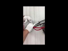 イーサネット スリップリング ECN000-21P-06S-01EG